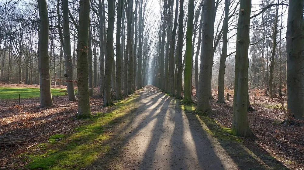 Warnsveld: Warnsveld, Netherlands - panoramio