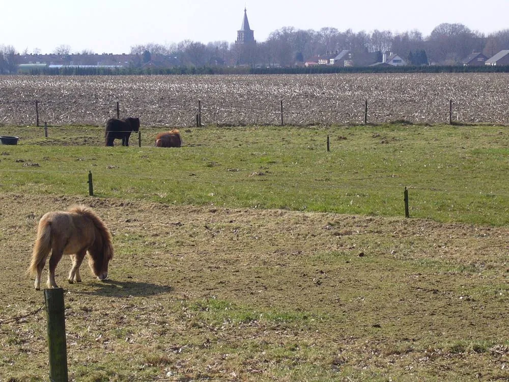 Tienray: Gezicht op Tienray